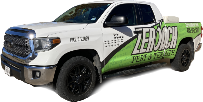 Pest Control Lubbock TX