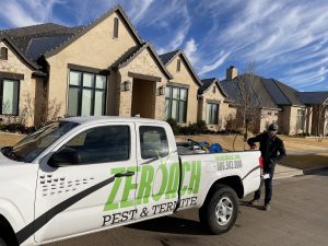 Ant control in Lubbock Texas